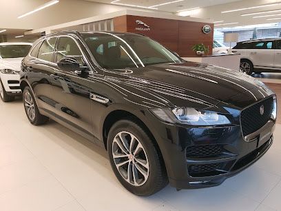 Jaguar Monterrey Jaguar Monterrey