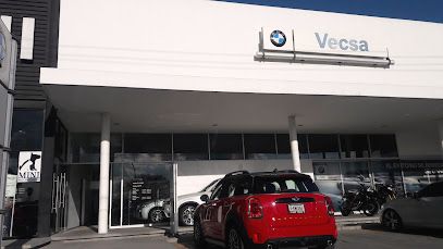 MINI Vecsa Pachuca