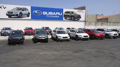 Subaru Tijuana Subaru Tijuana