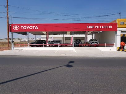 Toyota La Piedad Fame Toyota La Piedad Fame